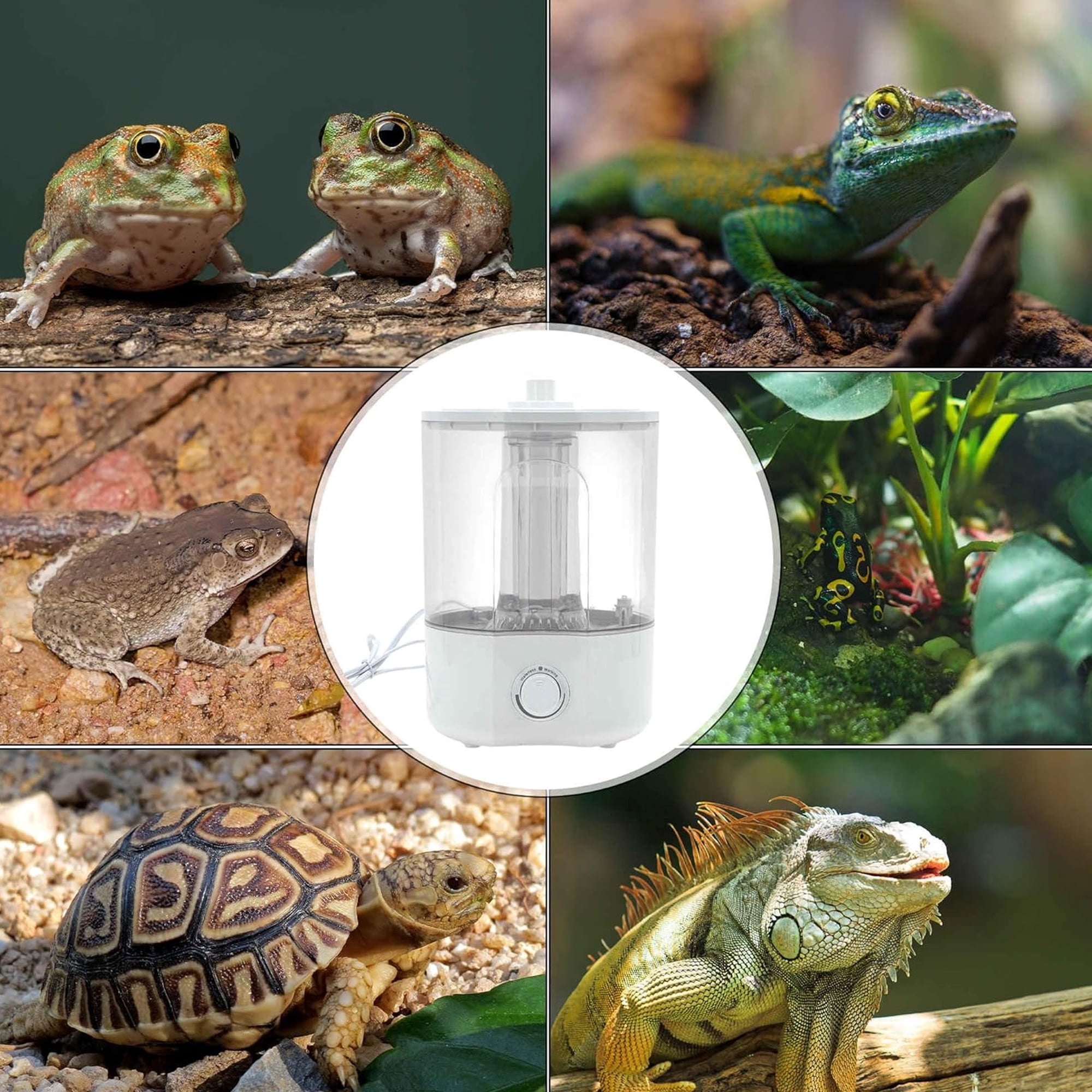 Reptile Fogger, 4L Reptile Humidifier, Top Fill Adjustable Fogger with Extension Hose, Visible Tank Reptile Humidifier for Snakes, Tortoises, Chameleons and Ball Python