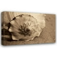 thumbnail image 1 of Cyndi Schick 32x23 Gallery Wrapped Canvas Wall Art Titled - Conch, 1 of 4