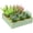 Vert Clair, variante sur Outsunny Bac de Jardin Surélevé Galvanisé 4 Pieds x 4 Pieds x 1 Pieds, Vert Foncé