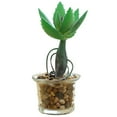 thumbnail image 1 of Coofit Artificial Succulent Plant Mini - Faux Potted Succulent Home Desktop Decoration, 1 of 4
