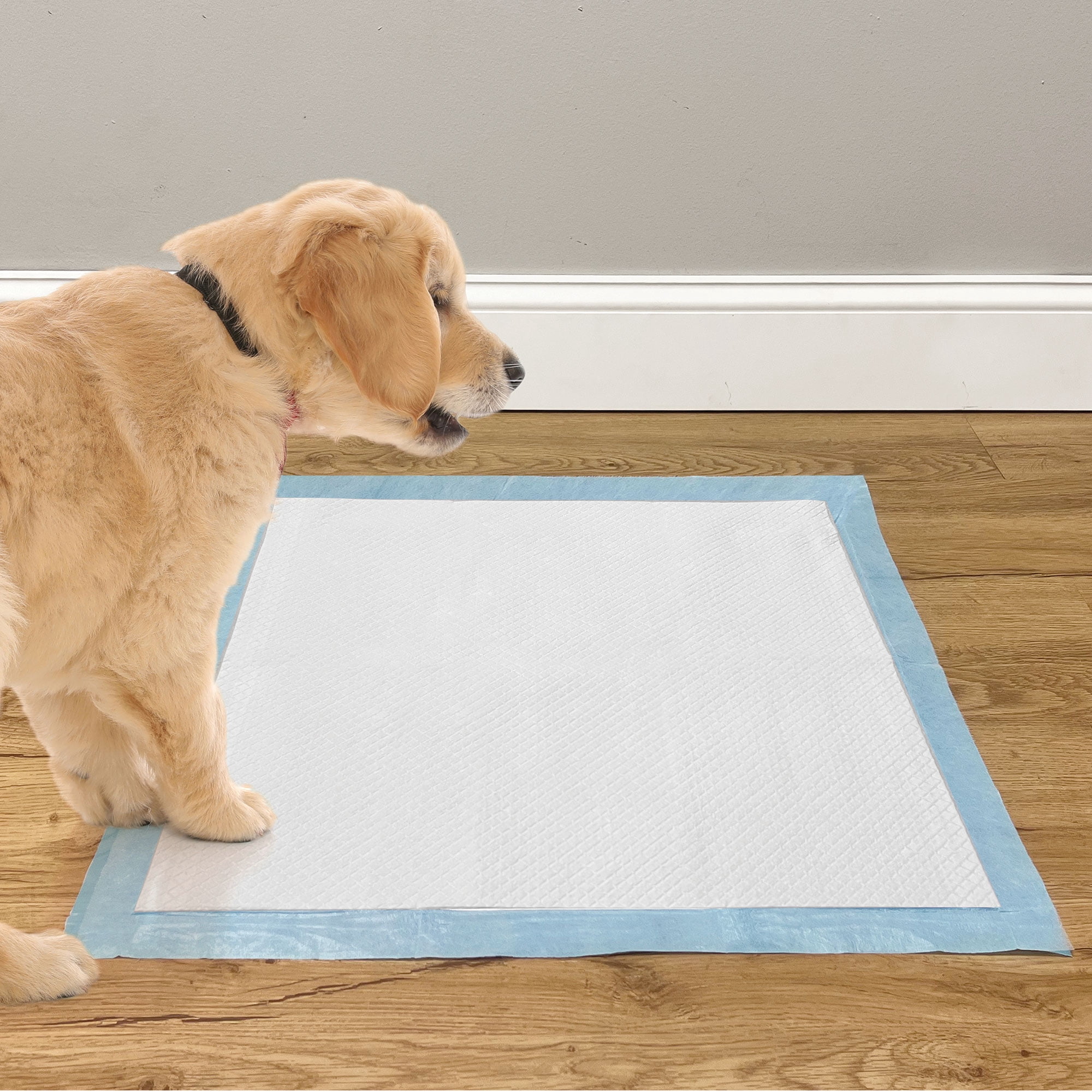 Scoochie 813579028739 Wiz B Gone Puppy Training Pads