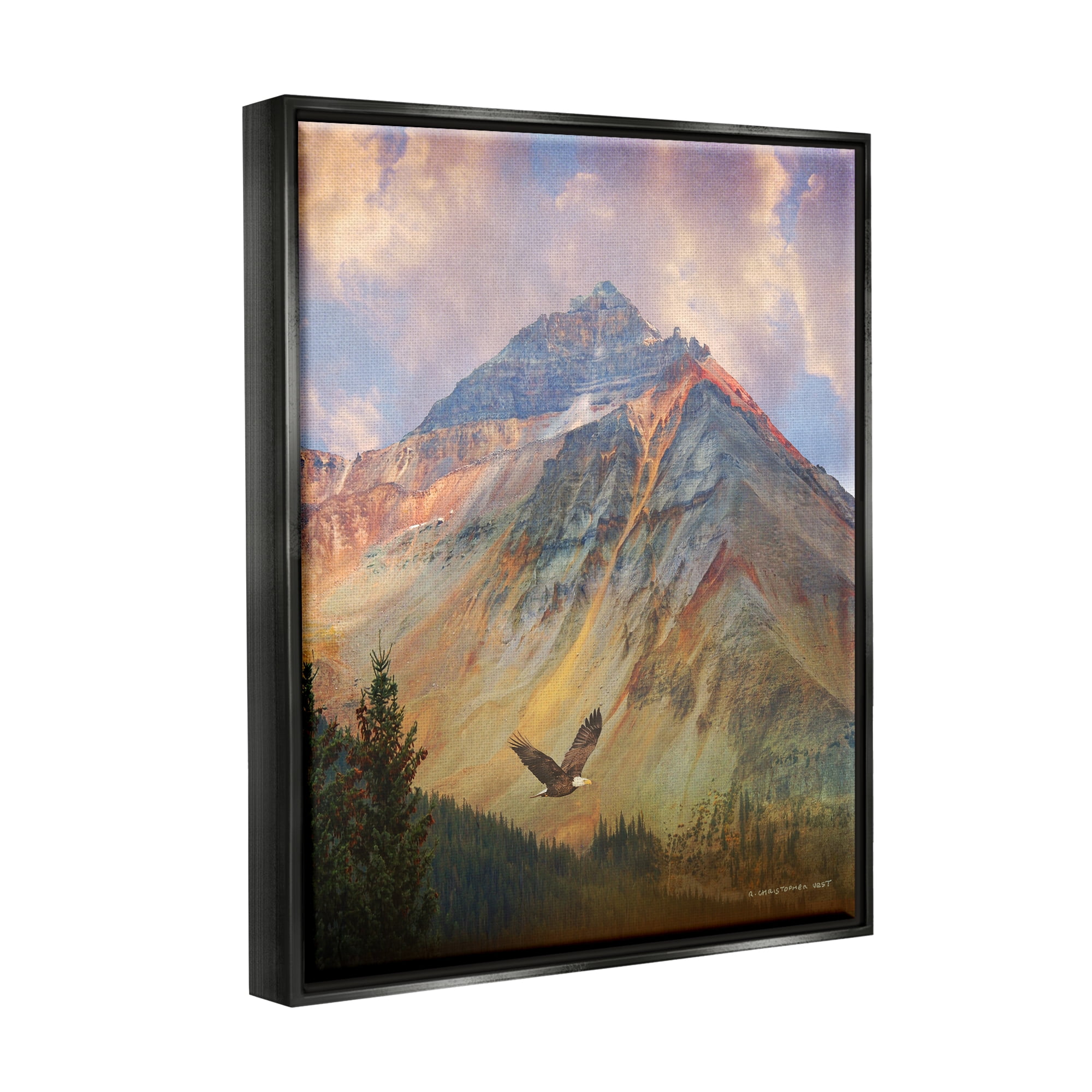 Stupell Soaring Eagle Mountain Valley Landscape Photography Black Floater Framed Art Print Wall Art