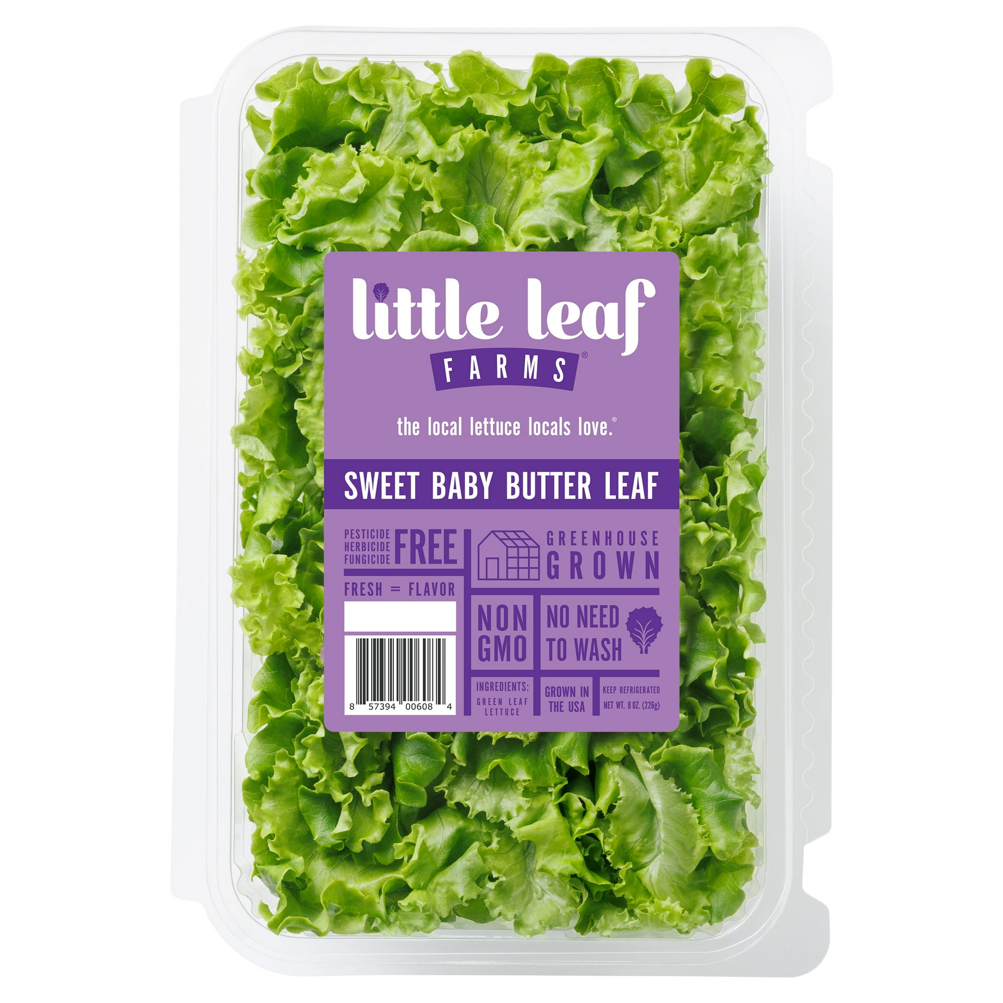 Little Leaf Farms Sweet Baby Butter Leaf Lettuce, 8 oz Clam Shell, Fresh