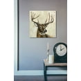 thumbnail image 6 of Epic Art 'Bronze Deer' by Silvia Vassileva, Acrylic Glass Wall Art, 24"x24", 6 of 10