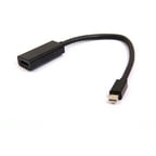 BlackWeb Mini Display Adapter