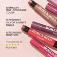 thumbnail image 3 of Set de tintes labiales Burt's Bees Shimmer Rhubarb, 4 piezas, Día de las Madres, 3 of 9