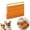 Orange, variant on Reusable Pet Hair Removal Tool Dog Hair Remover Carpet Rake & Fur Carpet Scraper Cat Hair Lint Roller for Car, Clothes, and Furniture