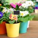 thumbnail image 3 of 10 Uds Tarjeta de inserción de mensaje de barra redonda larga decoración de jardinería de flores señal de precio de madera Mini pizarra etiqueta de planta tablero de mensajes, 3 of 8