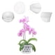 thumbnail image 3 of juegos de macetas transparentes para viveros, orquídeas y jardín con orificios de drenaje., 3 of 5
