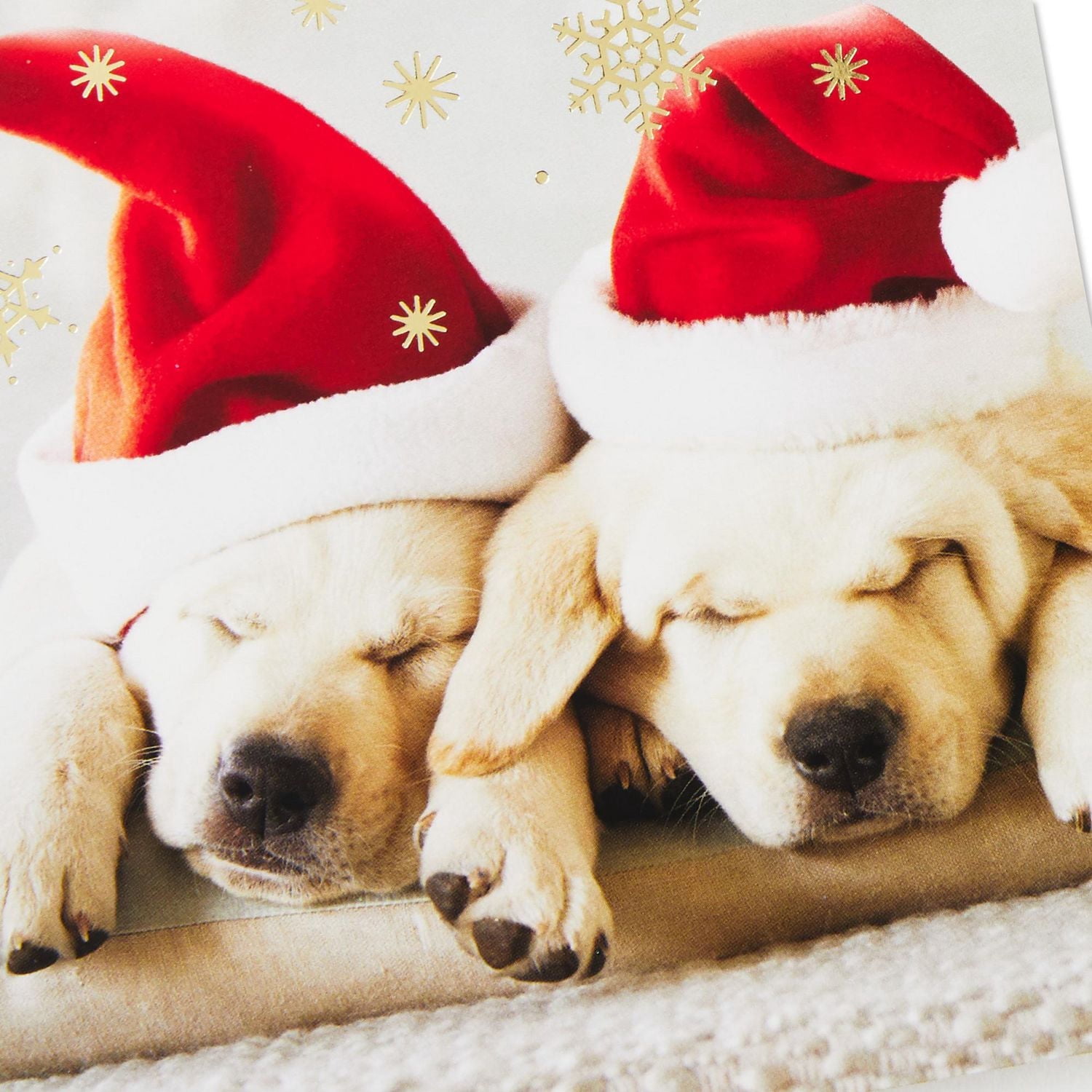 Connections from Hallmark Boxed Christmas Cards (Puppies in Santa Hats), 18 ct.