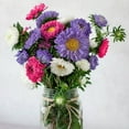 thumbnail image 3 of The Old Farmer's Almanac Premium Aster Seeds - Approx 360 Flower Seeds, 3 of 7