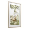 thumbnail image 3 of Stupell Industries White Tailed Deer Portrait Birch Framed Print Under Glass design by Leah Straatsma, 23 x 17, 3 of 10