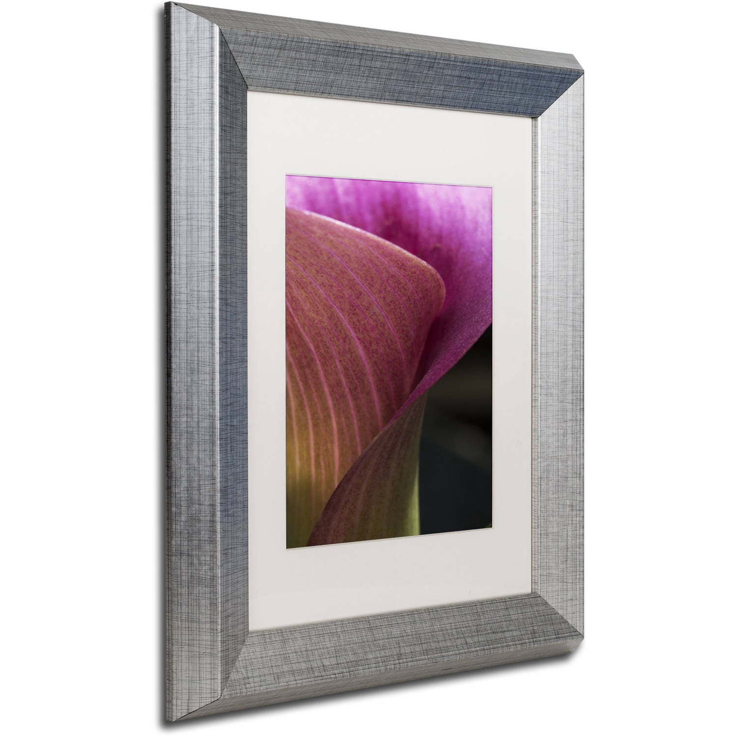 Trademark Fine Art "Part of a Calla Lily" Canvas Art by Kurt Shaffer, White Matte, Silver Frame