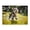 1000 Pieces, variant on Bubbles Field Grass Run 500-Piece Wooden Jigsaw Puzzle for Adults, Fun & Challenging Family Brain-Teaser, Perfect Home Decor & Gift