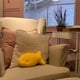 thumbnail image 5 of Peluche Snack Plushies, galleta de pescado con queso cheddar, 25 cm, niños y adultos, 5 of 8