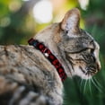 thumbnail image 2 of Disney Breakaway Cat Collar With Bell, Plastic Clip, Easy Adjustable, Alice in Wonderland Card Suits Red Black, 8.5 to 12 Inches 0.5 Inch Wide, 2 of 4