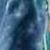 Blue/Green Tie Dye