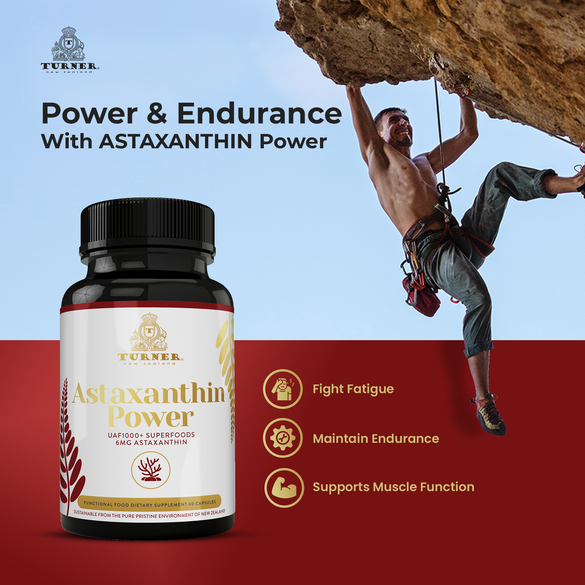 TURNER New Zealand Astaxanthin 6mg Muscle Recovery Supplement, 360 Capsules
