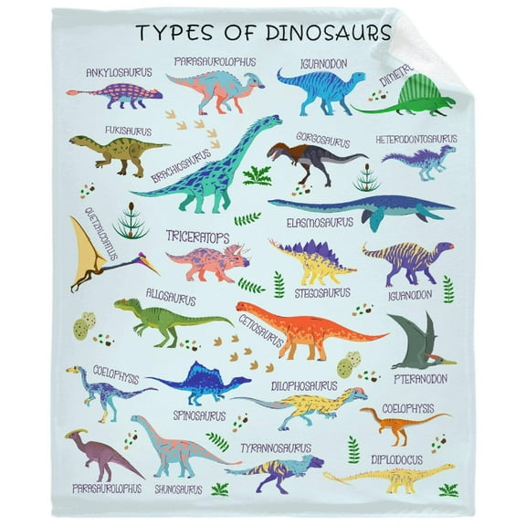 Dinosaur Blanket for Boys Types of Dinosaurs Birthday Boys Toddler Girls Teens Soft Flannel Dinosaur Animal Educational Throw, 30x40in Fleece Blanket