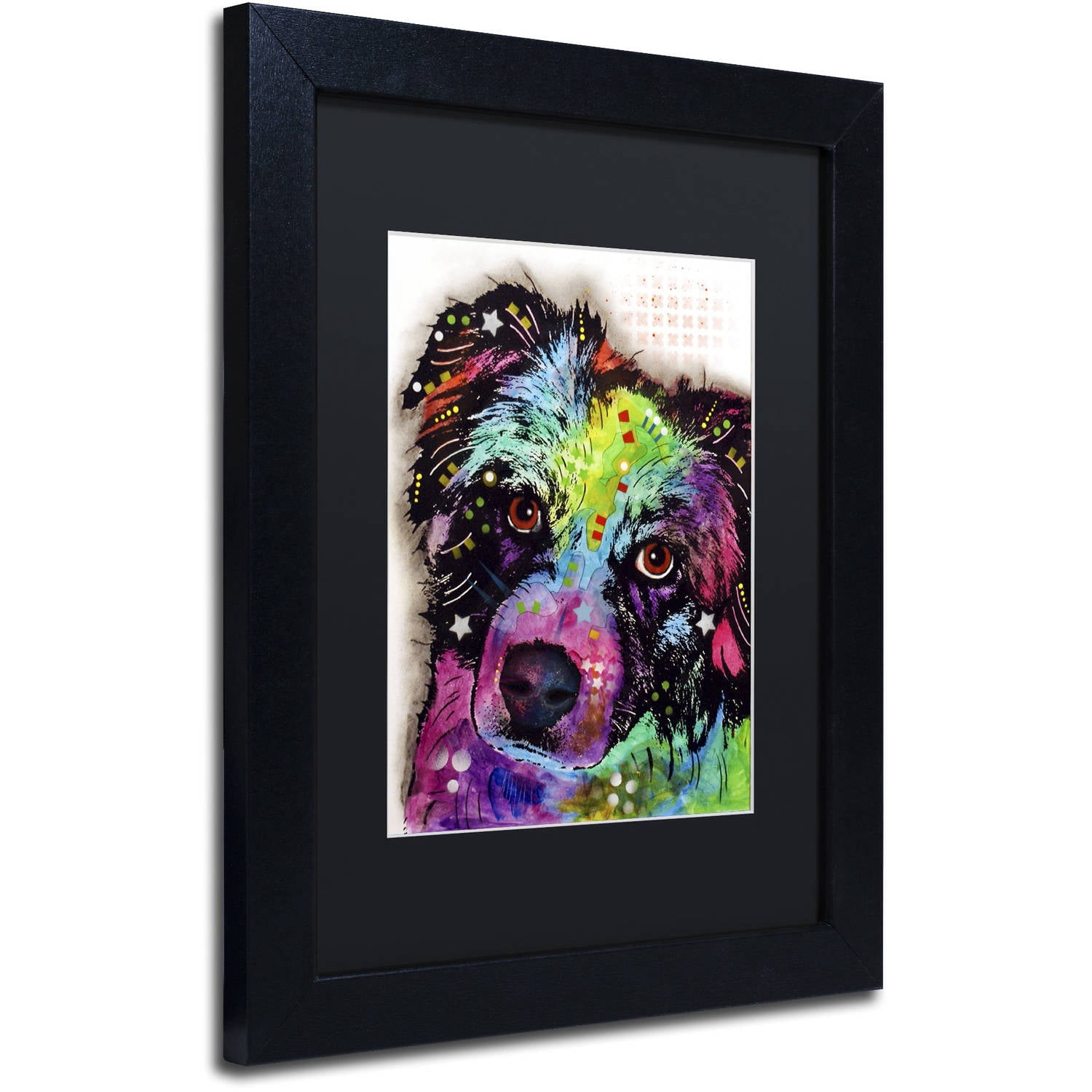 Trademark Fine Art "Aussie" Canvas Art by Dean Russo, Black Matte, Black Frame