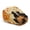 Black Cat Autumn Pumpkin, variant on Christmas Patterns Polyester Newsboy Hat with Travel Essential, All-Season Adjustable Flat Cap for Outdoor Summer Driving