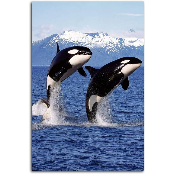 Aaheei Orca Poster - Blue Ocean Theme Wall Art Decor for Living Room, Bedroom, Office
