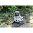 thumbnail image 2 of Hi-Line Gift Ltd Pet Pals-Teacup Pug Puppy, 2 of 8