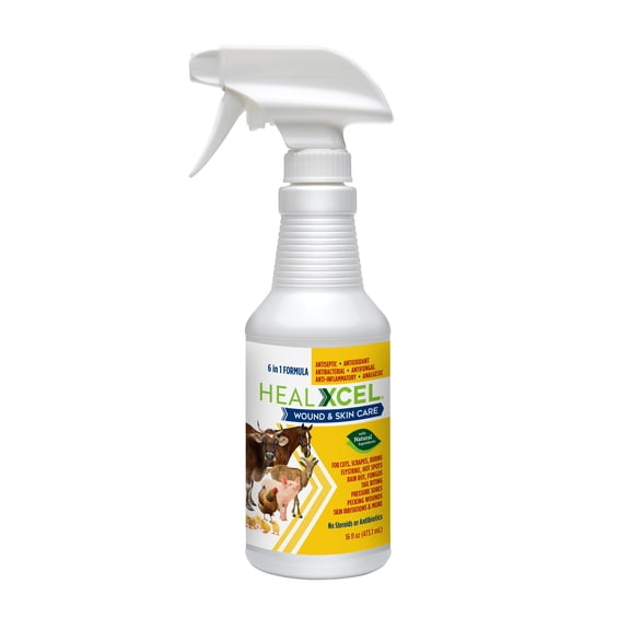HealXcel Wound & Skin Care Spray 16oz