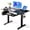 Black, variant on CHITOOMA Electric Standing Desk with Keyboard Tray, 48" x 24" Adjustable Height Sit Stand Up Desk, Home Office Gaming Desk Computer Workstation, Vintage Brown