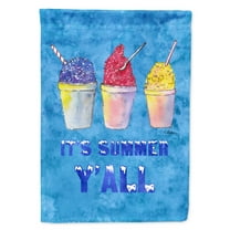 Carolines Treasures 8779-FLAG-PARENT Snowballs and Snowcones Flag multicolor