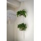 thumbnail image 3 of Solnnerer Paquete de 20 Ganchos de Rosca para Colgar Luces y Plantas, Ganchos para Tazas Q-Hanger Blancos de 2,2 Pulgadas, Ganchos de Techo con Tornillos, Gancho para Ojo, Montaje en Techo de Pared, 3 of 8