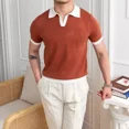 thumbnail image 2 of Polo de estilo japonés de moda para hombre, nuevo polo estándar de verano 2023, mangas cortas, colores sólidos, informal, cómodo, ajuste holgado, 2 of 5