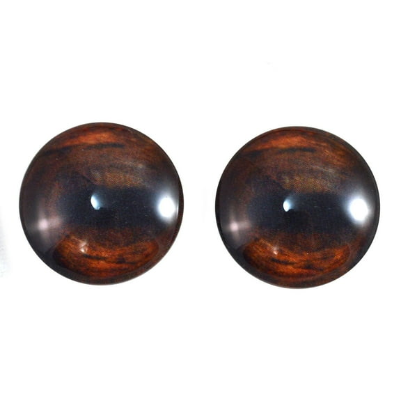 Brown Horse Glass Eyes