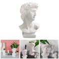 thumbnail image 2 of 4 Unids, Estatuas de Escultura de David únicas, de Florero de Flores de Exhibición Cosmética Macarena Figuras de mitología griega, 2 of 8