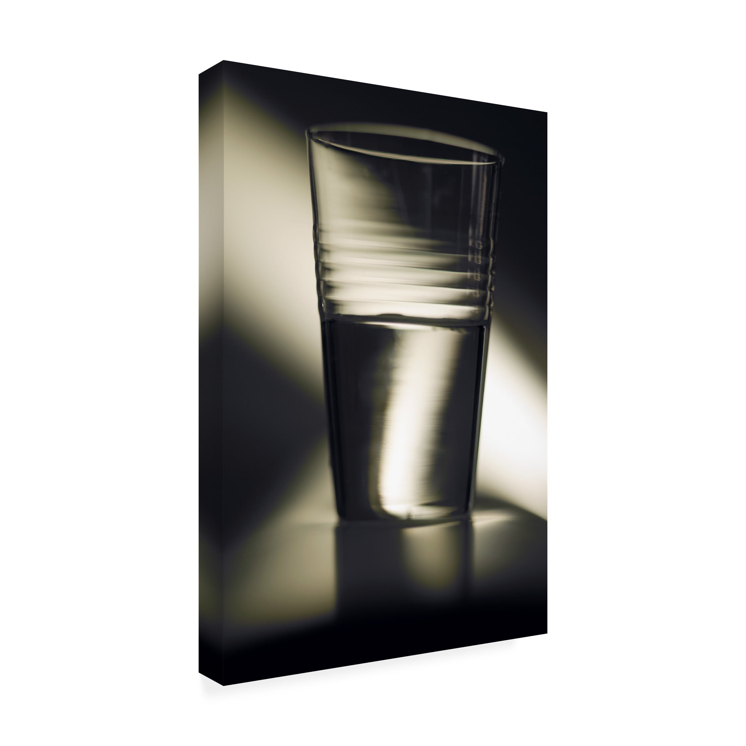 Trademark Fine Art 'Optimism Half Full Glass' Canvas Art by Joe Felzman Photography
