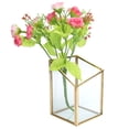 thumbnail image 4 of Garosa Glass Plant Holder,Mini Glass Storage Container Flower Pot Planter Vase Bowl Home Office Plant Display Box,Glass Plant Display Box, 4 of 8