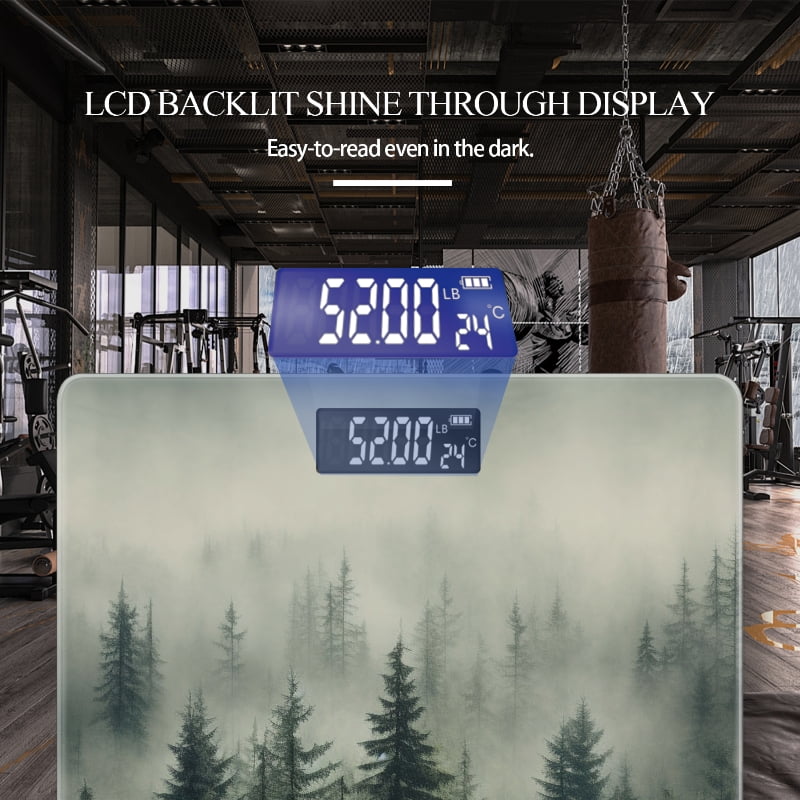 Digital Bathroom Scale with Large LCD Display,High Capacity Scale 400 lbs High Precision body fat scale-Dense Forest Shrouded In Mist With Tall Trees
