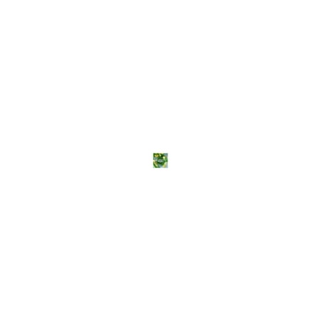 Image not found