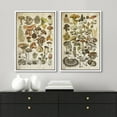 thumbnail image 3 of IDEA4WALL Framed Canvas Print Wall Art Set Mushroom Botanical Fine Art Fungus Molds Yeast Toadstools Pattern Art Farmhouse/Country Wall Decor for Living Room, Bedroom, Office - 24"x36"x2 White, 3 of 5