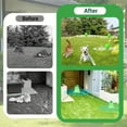 thumbnail image 5 of 10 pieces Cat Repellent Outdoor, Natural Peppermint Oil Cat Deterrent Outdoor Indoor, Keep Cats Scratch Away from Furniture, Keep Cats Off Yard Garden Lawn Plants, 5 of 8
