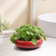 thumbnail image 2 of Dtchengua 7 Inch Ceramic Bonsai Pots with Drainage Hole, Shallow Planter for Indoor Outdoor, Round Planter, Cactus Pot, Office Decor for Plant Lovers,Red, 2 of 6