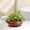 Red, variant on Indoor Home office Tabletop Decor Pot, Large Vintage Distressed Ceramic Planter, Multipurpose Plant Vessel for Cultivating s and Trailing Pothos