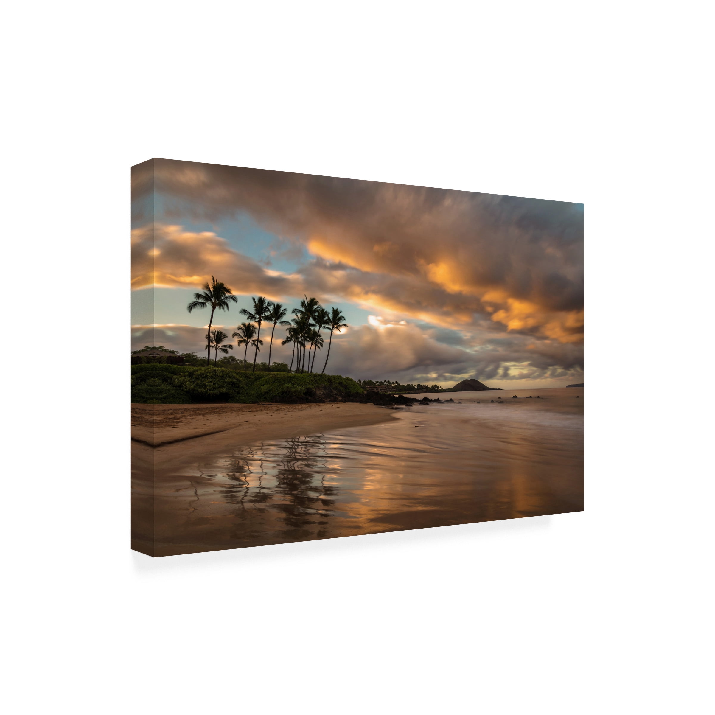 Pierre Leclerc 'Tropics Sunrise' Outdoor Canvas 30x47
