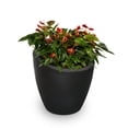 thumbnail image 1 of Jardinière haute Modesto 51 cm, 1 of 2