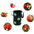 thumbnail image 3 of ZOELNIC Strawberry Planting Pot Container Plant Grow Bags Home Hanging Strawberry Planter Growing Bags Reusable Non-woven Fabric Green, 3 of 11