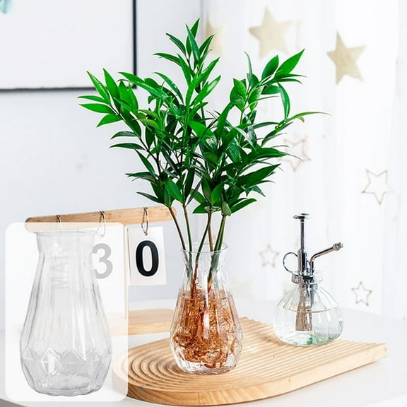 Mnhhatv Transparent Hydroponic Planters for Philodendron, Moneywort, Glass-Look Vases for Home, Office, Indoor Planting, Low Maintenance Self-Watering, Stylish Desktop Decor, 5.71" x 2.28"