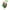 Green, variant on Lomaiwei Chicken & Duck Leash, Ideal Pet Leash for Your Feathered Friends – Adjustable, Resilient, Comfortable, Breathable, Large Size, Chicken Harness & Pet Leash