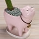 thumbnail image 3 of De Cerámica Para Gatitos Con Orificio De Drenaje Mini Macetas Para Plantas Contenedores De Plantas De Cactus Para La Decoración Del Hogar Y La Oficina Serendint HA041849-01, 3 of 6