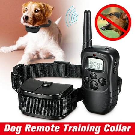 Dog Clicker Training Walmart Dog Clicker Training Walmart