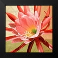 thumbnail image 2 of Higby, Jason 15x15 Black Modern Framed Museum Art Print Titled - Desert Bloom I, 2 of 5
